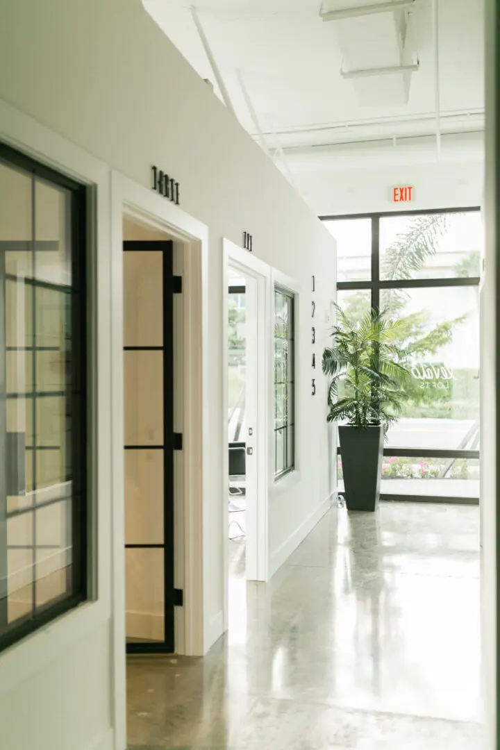 Modern hallway with large windows and plant.